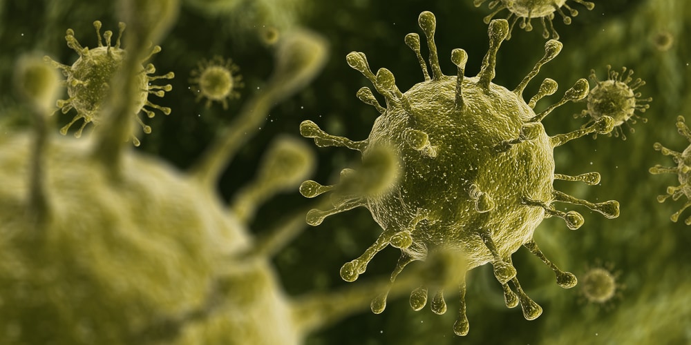COMMON COLD