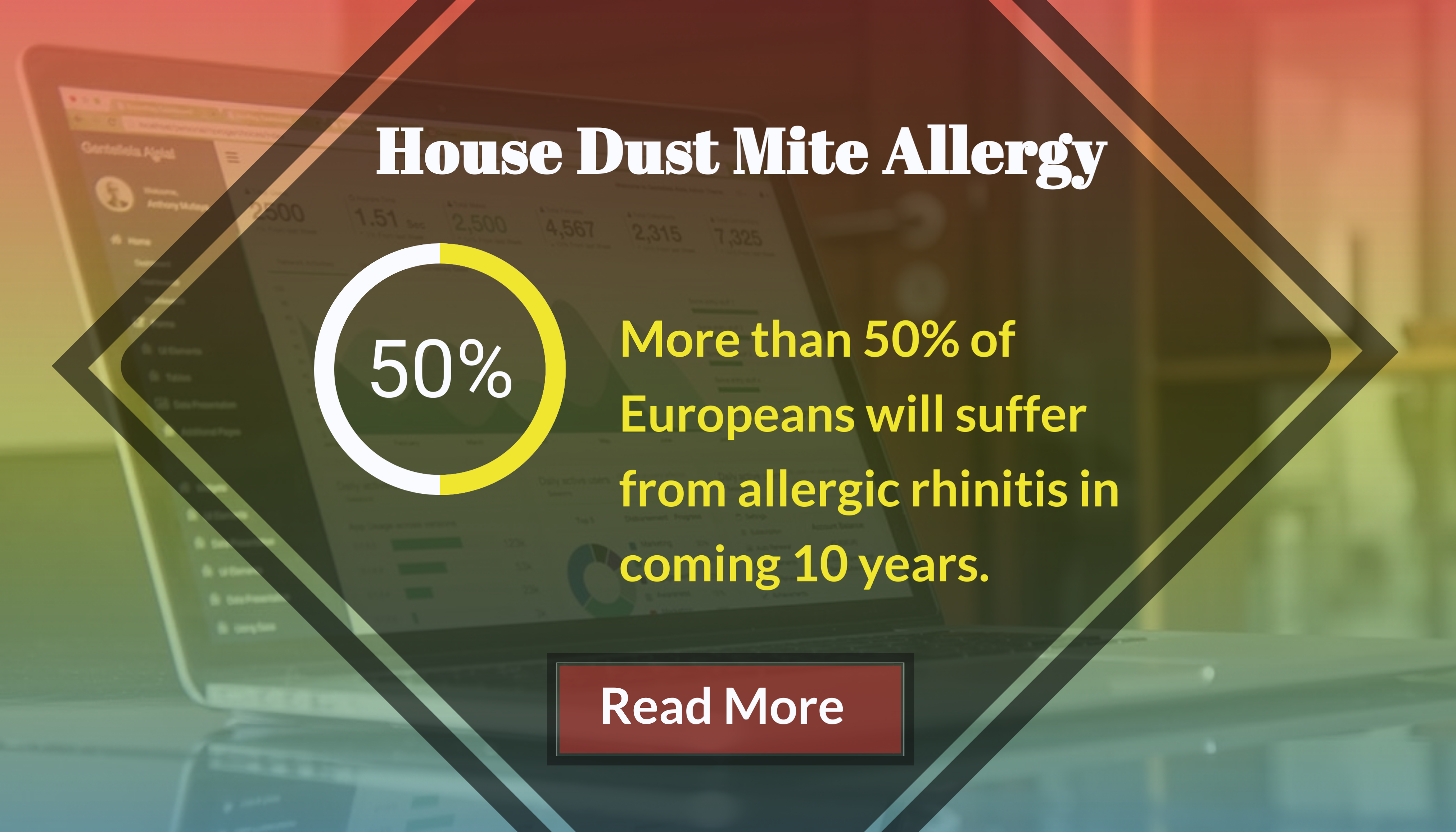 House Dust Mite Allergy House Dust Mite Allergy
