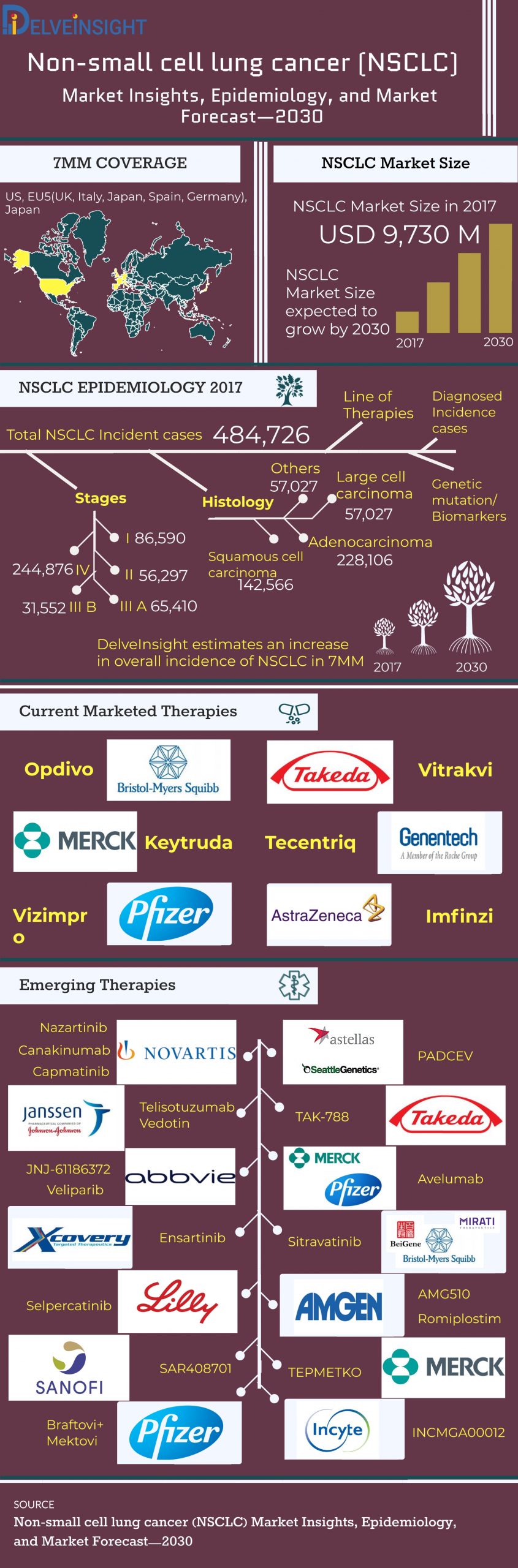 Non-Small Cell Lung Cancer Market | NSCLC Market