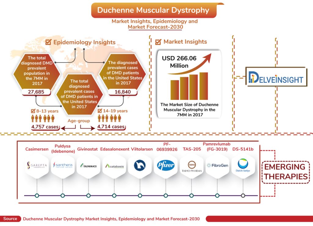 Duchenne Muscular Dystrophy Market | DMD Market