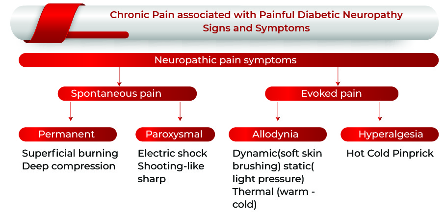 Chronic Pain Associated With Painful Diabetic Neuropathy: Signs and Symptoms | Chronic Pain Associated With Painful Diabetic Neuropathy Market