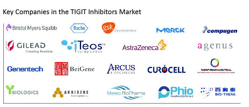 key-companies-in-the-tigit-inhibitors-market