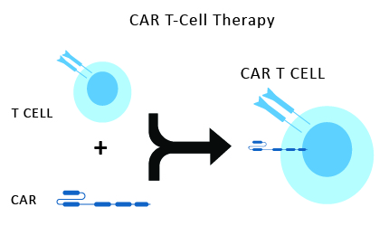 CAR-T-Cell-therapy-process