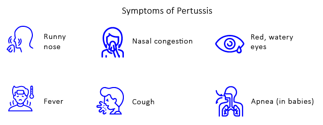 pertussis-signs-and-symptoms